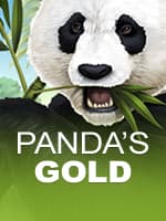 Panda's Gold
